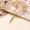 Lit Wall Gold Pendant Necklace for Women 18K Gold Plated Dainty Gold Necklace for Women, Jewelry Gift for Her(Fish)